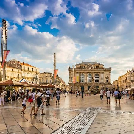Appartamento Magnifique 2 pièces - Plein centre - Tram 1 min Montpellier Esterno foto